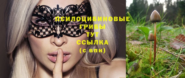 дмт Пестово