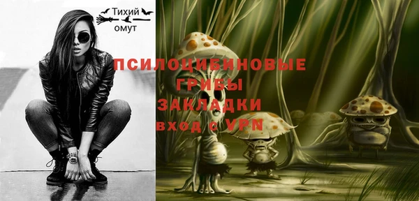 стаф Абаза