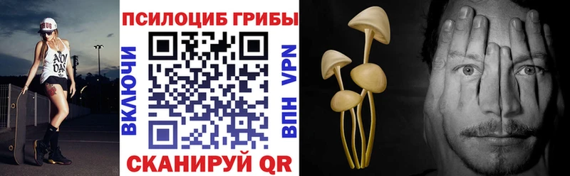Псилоцибиновые грибы Magic Shrooms  Каменск-Шахтинский 