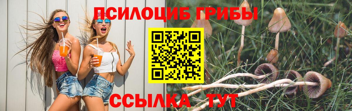 Псилоцибиновые грибы ЛСД  Вход с VPN  Каменск-Шахтинский  Галлюциногенные грибы Psilocybine cubensis 