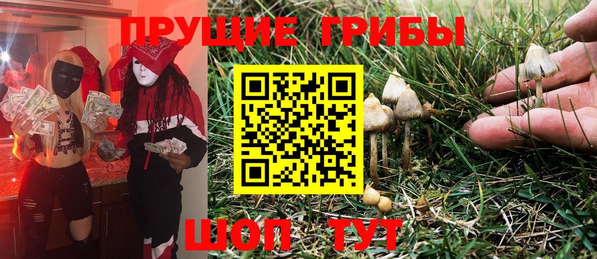 Галлюциногенные грибы GOLDEN TEACHER Каменск-Шахтинский